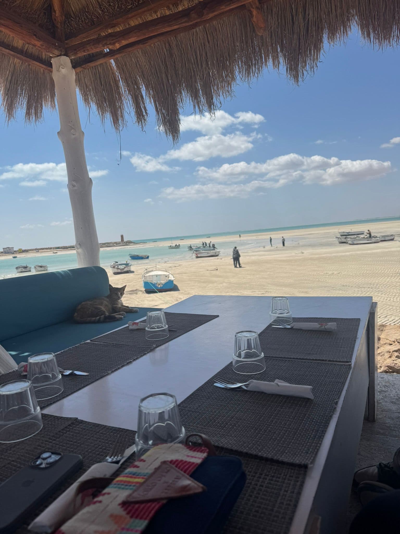 Djerba photo 12