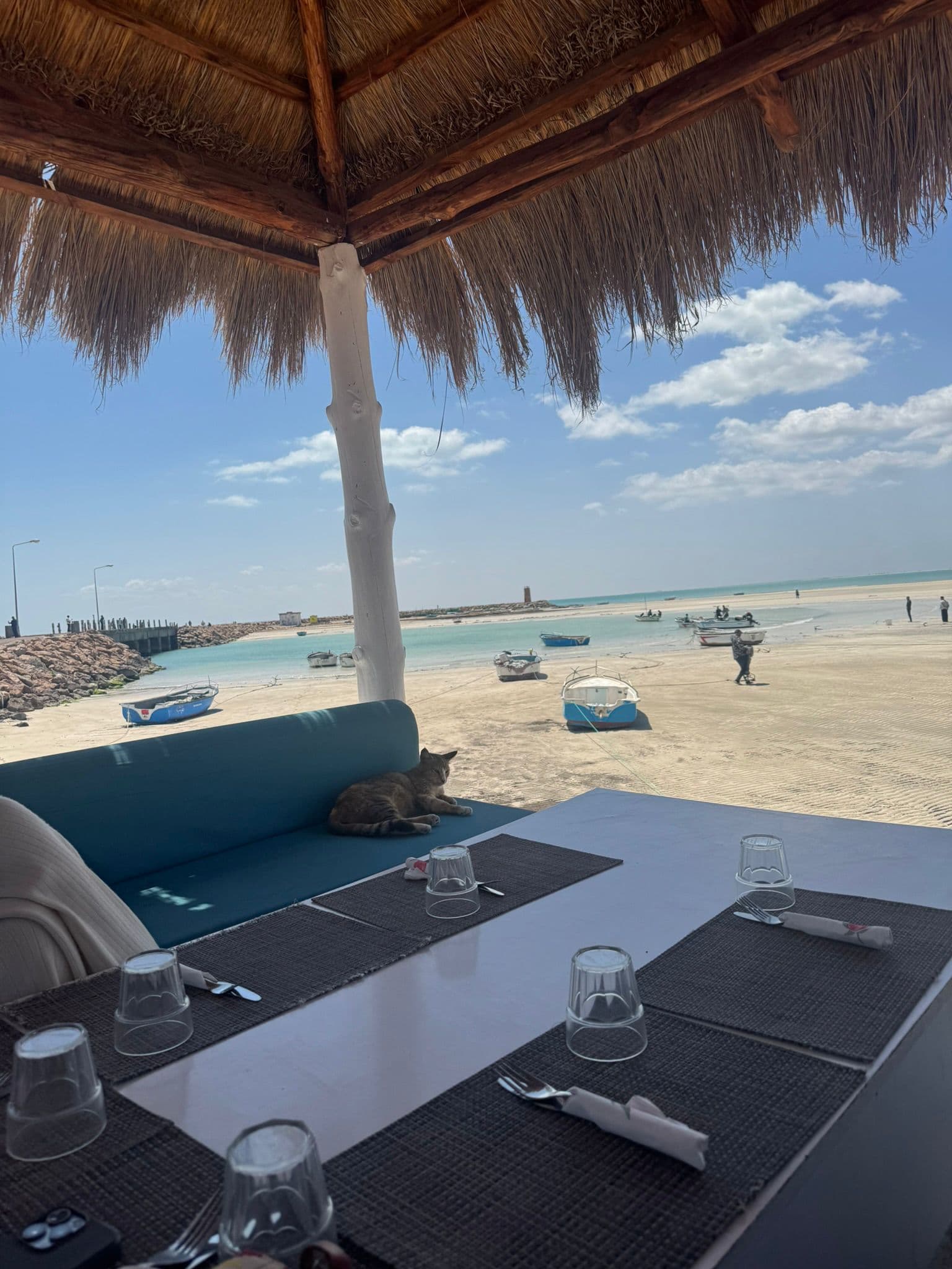 Djerba photo 13