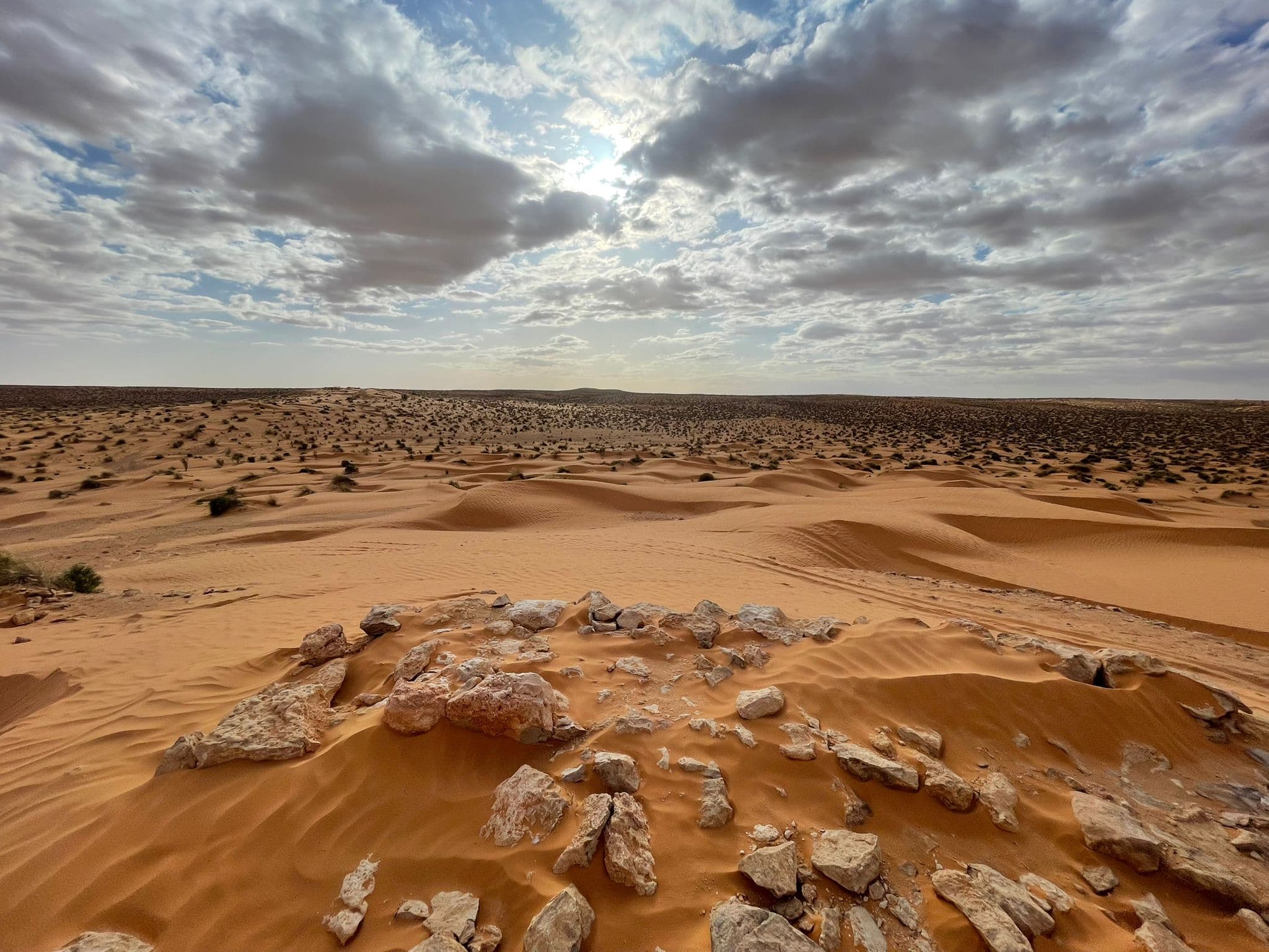 Ksar Ghilane photo 3